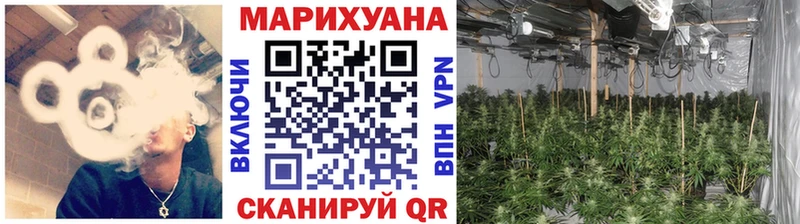 Марихуана OG Kush маркетплейс какой сайт Люберцы